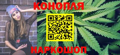 spice Кингисепп