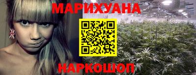 spice Кингисепп