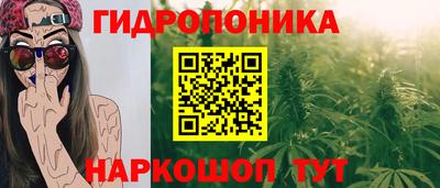 шишки Конаково