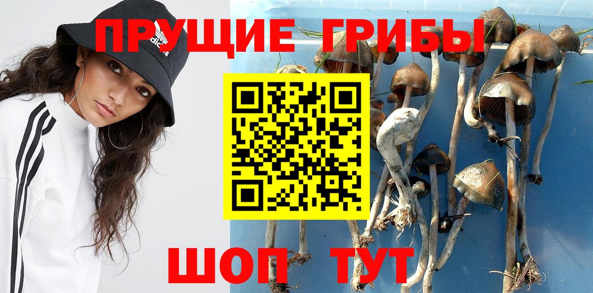 Шелехов  Псилоцибиновые грибы MAGIC MUSHROOMS  Вход с VPN  Псилоцибиновые грибы ЛСД 